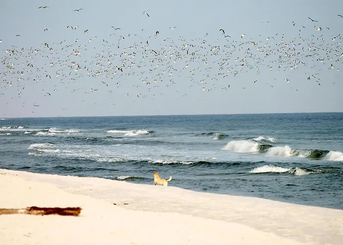 Διαμέρισμα White Pearl 1.03